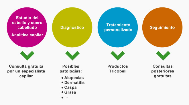 Realización de un estudio capilar
