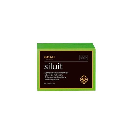 Goah Siluit